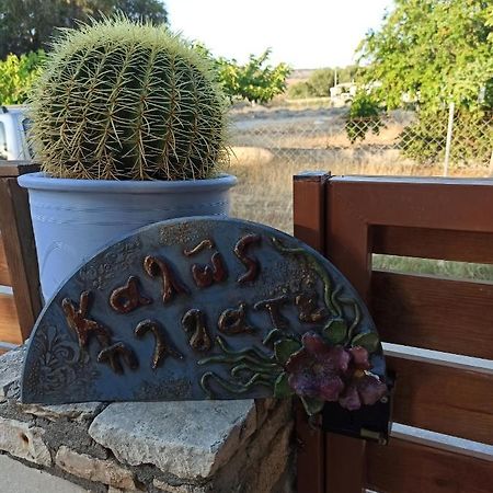 Cactus Home Kalamaki  Esterno foto
