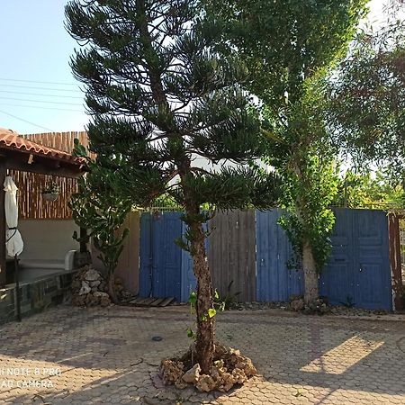 Cactus Home Kalamaki  Esterno foto