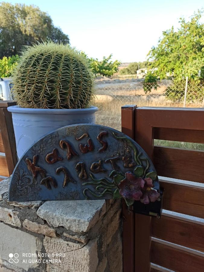 Cactus Home Kalamaki  Esterno foto