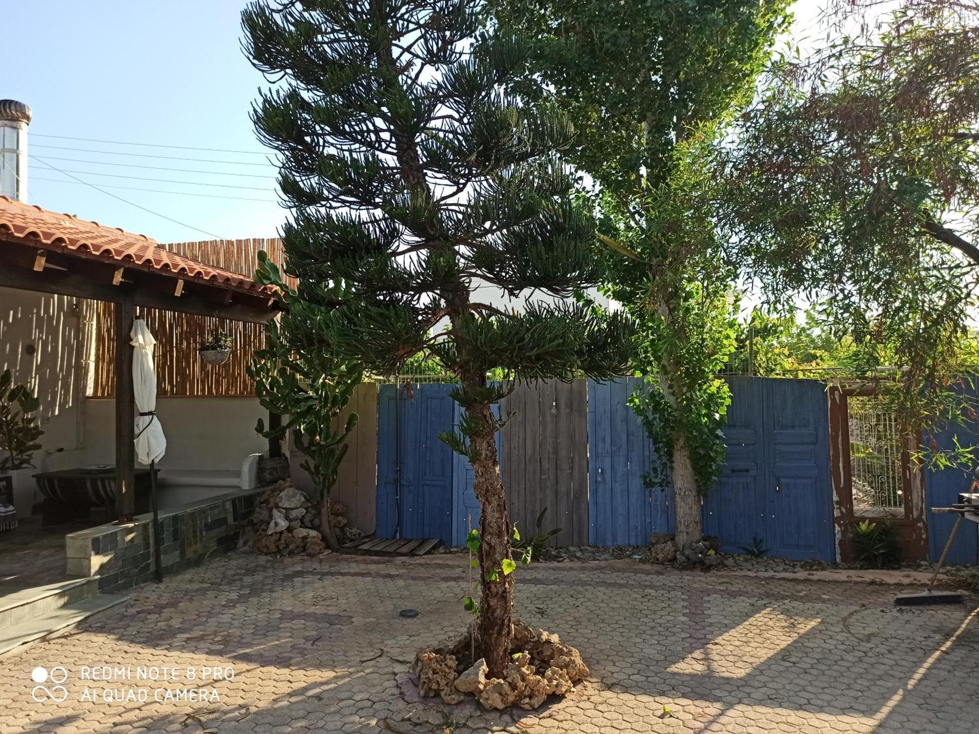 Cactus Home Kalamaki  Esterno foto