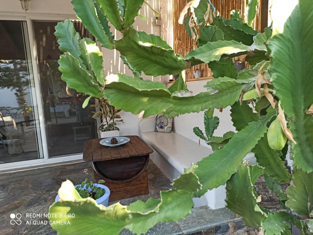 Cactus Home Kalamaki  Esterno foto