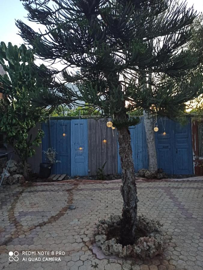 Cactus Home Kalamaki  Esterno foto